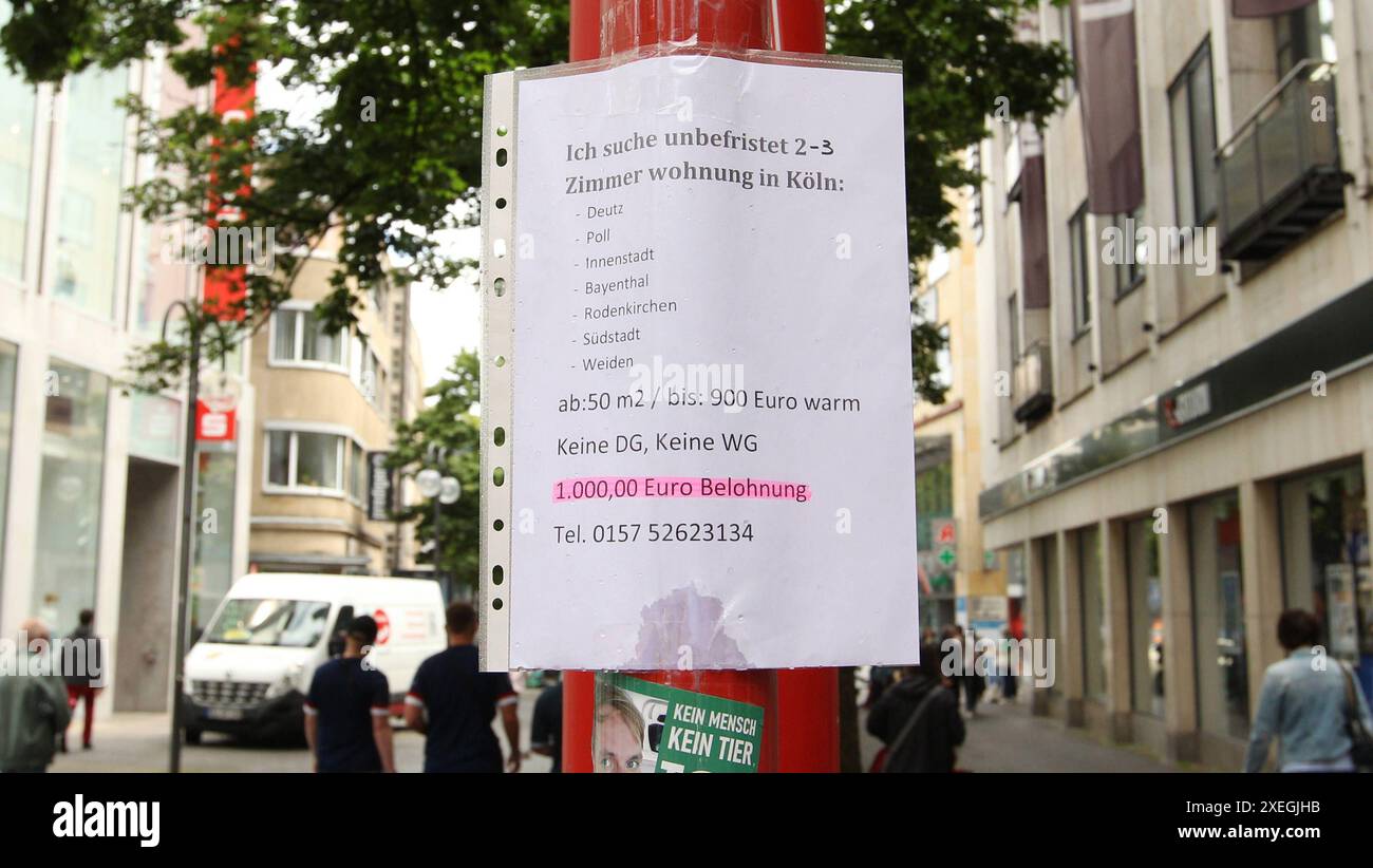 Auf einem Zettel, der an einen Pahl geklebt ist, steht ein Wohnungsgesuch. für die Vermittlung einer 2-3-Zimmerwohnung wird eine Belohnung von 1000 Euro ausgelobt. Köln Nordrhein-Westfalen *** Una nota posta su un palo pubblicizza un appartamento in affitto. Un premio di 1000 euro è offerto per trovare un appartamento di 2 3 camere Colonia Nord Reno Vestfalia Foto Stock