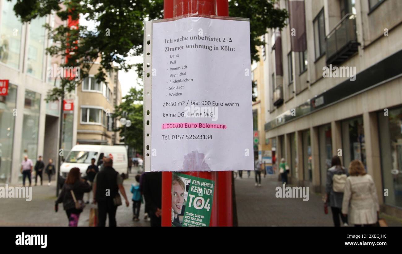 Auf einem Zettel, der an einen Pahl geklebt ist, steht ein Wohnungsgesuch. für die Vermittlung einer 2-3-Zimmerwohnung wird eine Belohnung von 1000 Euro ausgelobt. Köln Nordrhein-Westfalen *** Una nota posta su un palo pubblicizza un appartamento in affitto. Un premio di 1000 euro è offerto per trovare un appartamento di 2 3 camere Colonia Nord Reno Vestfalia Foto Stock