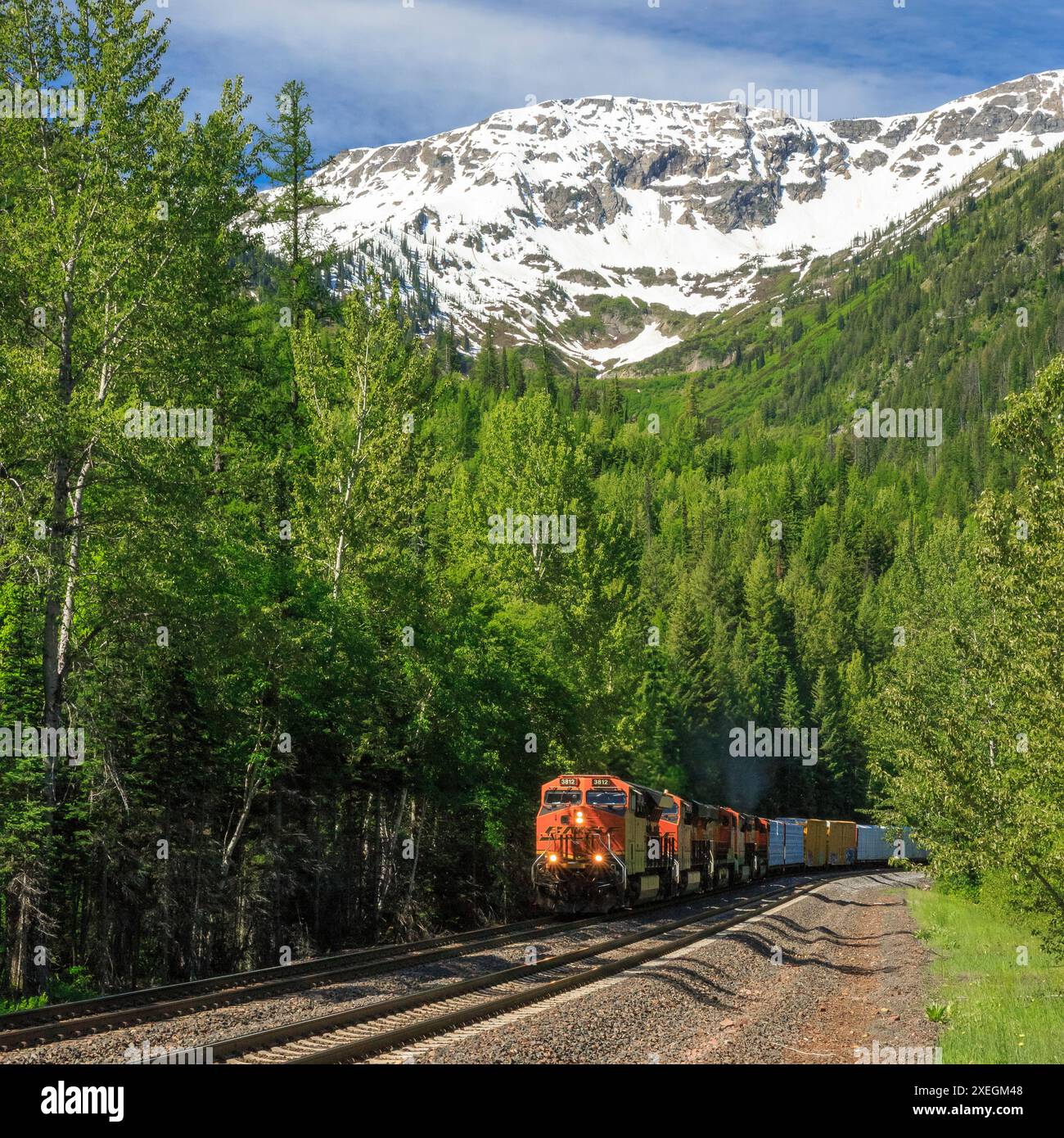 Treno merci BNSF sotto il monte nyack nella catena montuosa di flathead vicino nyack, montana Foto Stock