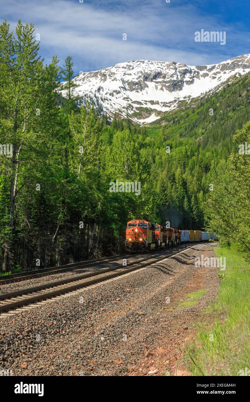 Treno merci BNSF sotto il monte nyack nella catena montuosa di flathead vicino nyack, montana Foto Stock