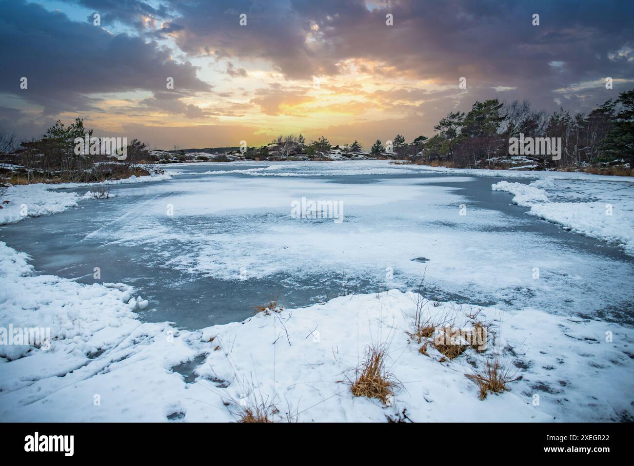 Paesaggio costiero in inverno. Neve, paesaggio girato nella città di FjÃ¤llbacka, Svezia Foto Stock