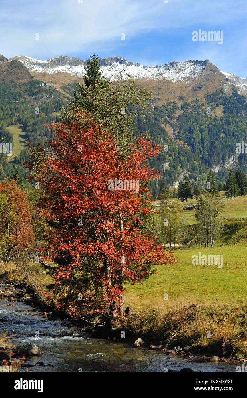 Mallnitztal in Austria Foto Stock