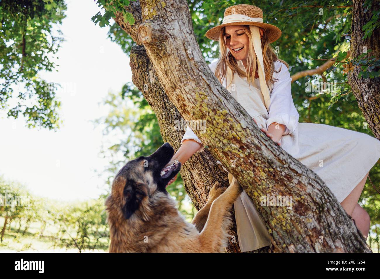 Una bella ragazza bionda con un vestito di colore chiaro e un cappello di paglia si siede su un grande albero e un cane che corre in piedi. Foto Stock