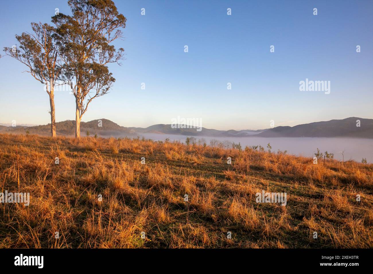 La campagna di Barrington e Gloucester Tops nel nuovo Galles del Sud regionale, l'Australia tramonta sul paesaggio Foto Stock