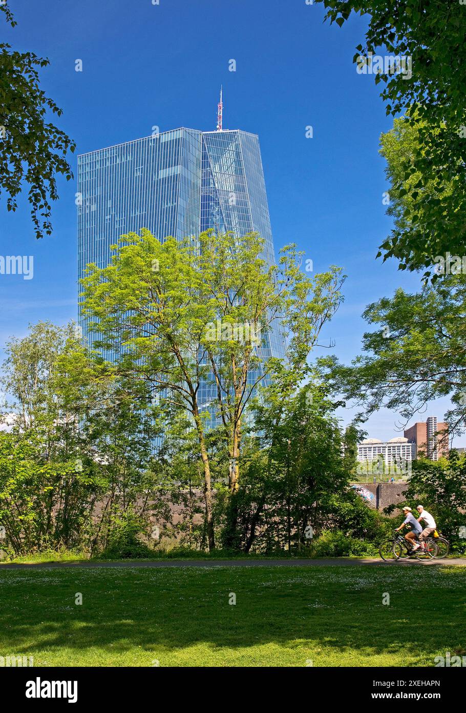 La Banca centrale europea (BCE) si distingue da dietro un parco verde, Francoforte sul meno, Germania Foto Stock