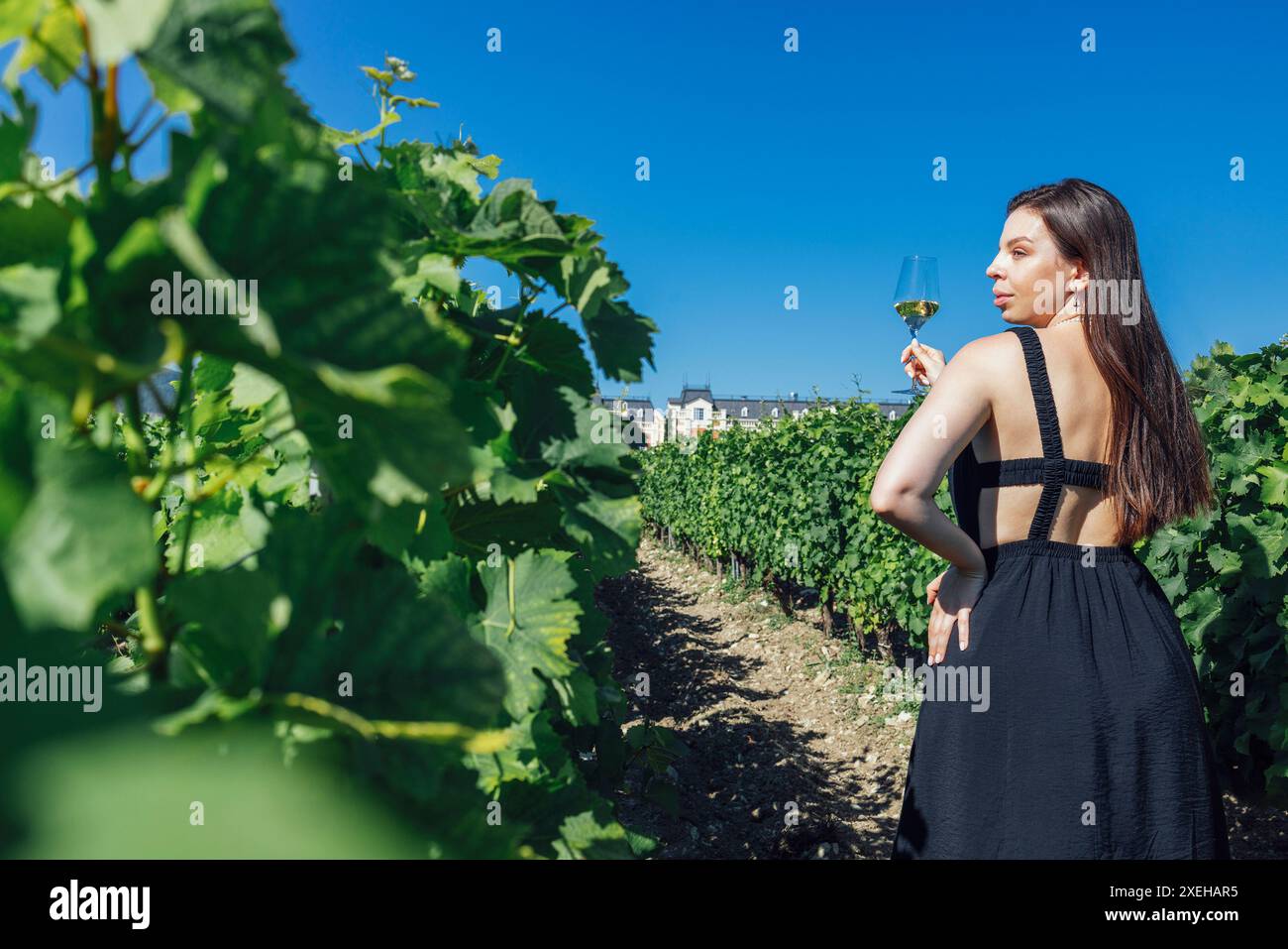 La giovane donna con una bella figura in abito lungo si staglia dietro con un bicchiere di champagne e guarda l'orizzonte in cantina Foto Stock