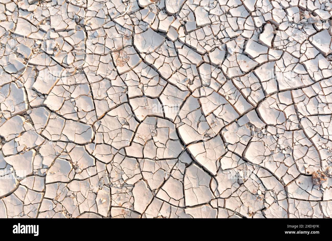 Terra secca incrinata, terra pascolata, terra sporca fondo di fango marrone, terreno arido, terra secca incrinata, terra incrinata, fango secco, testo rotto Foto Stock