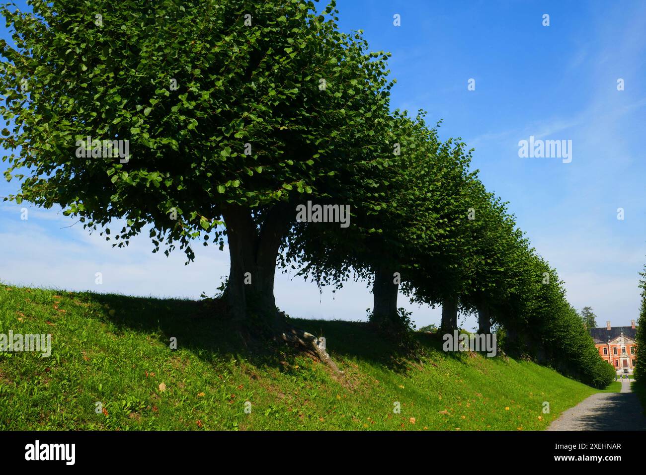 viale Festoon presso il castello di Bothmer a KlÃ¼tz, Germania Foto Stock