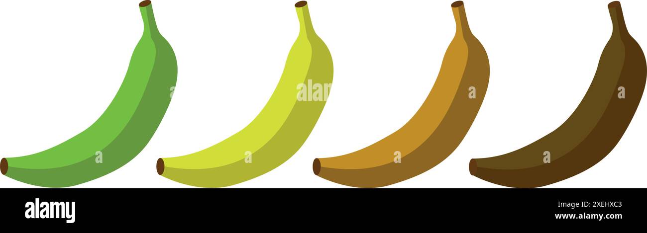 Banana matura frutta illustrazione verde matura cattivo cibo. Icona vettore banana maturo Illustrazione Vettoriale