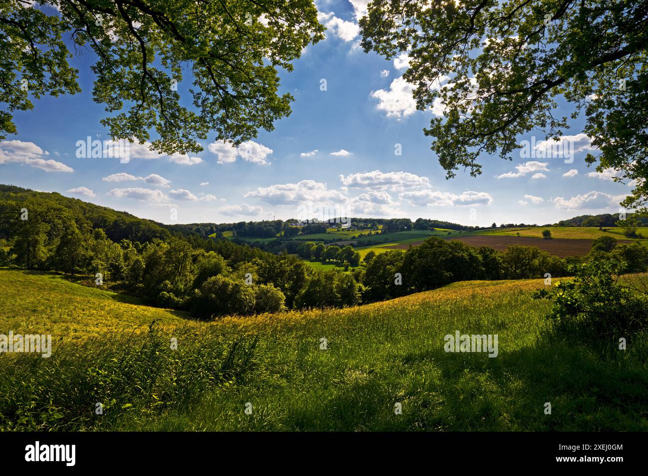 Paesaggio culturale collinare con cielo blu e nuvole, Wetter (Ruhr), regione della Ruhr, Germania, Europa Foto Stock