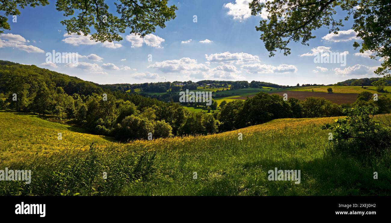 Paesaggio culturale collinare con cielo blu e nuvole, Wetter (Ruhr), regione della Ruhr, Germania, Europa Foto Stock