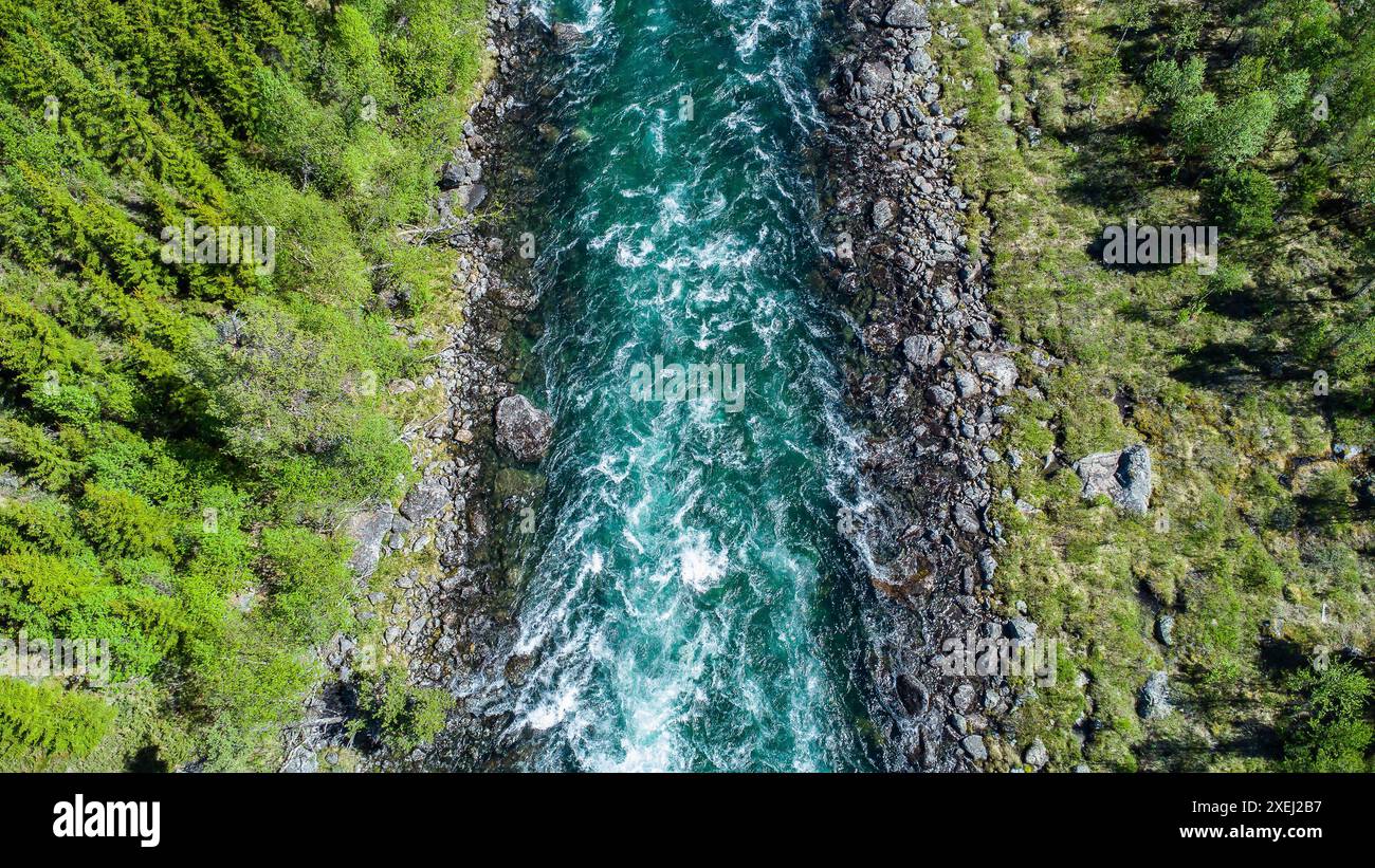 Vista verticale dall'alto verso il basso su un fiume pulito circondato da alberi e natura pura Foto Stock