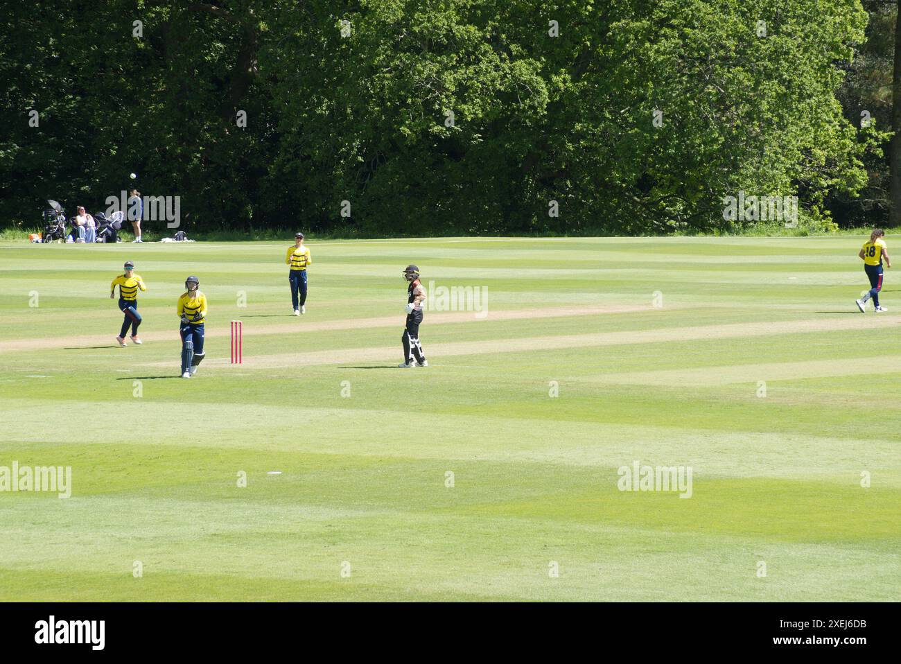 Partita di cricket femminile nella campagna inglese. Giocatori vicini al wicket. Foto Stock