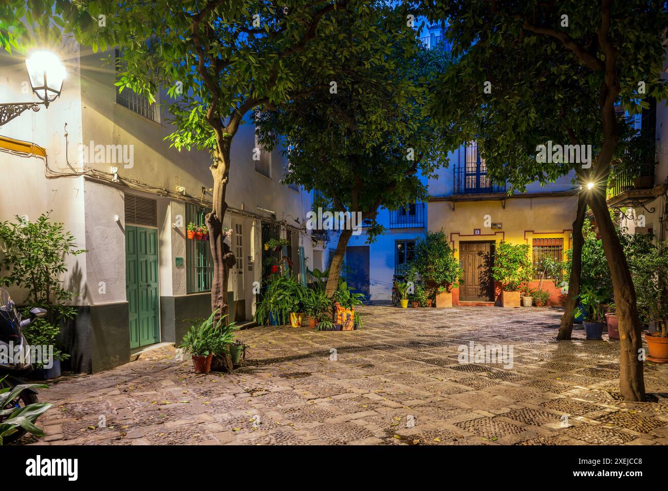 Vista notturna di una pittoresca piazzetta nel quartiere di Santa Cruz, Siviglia, Andalusia, Spagna Foto Stock
