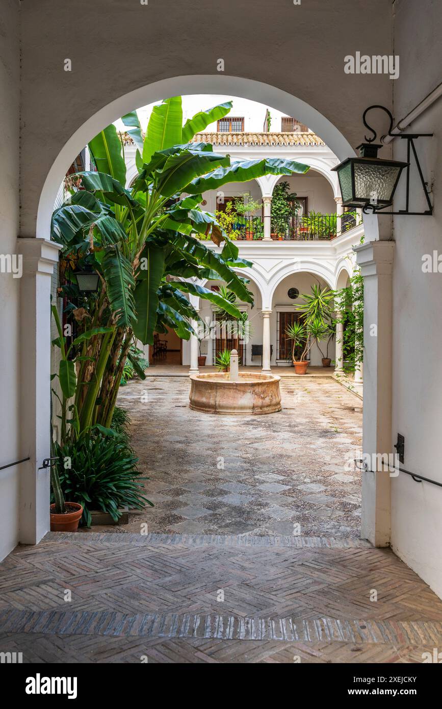 Patio tipico, quartiere di Santa Cruz, Siviglia, Andalusia, Spagna Foto Stock
