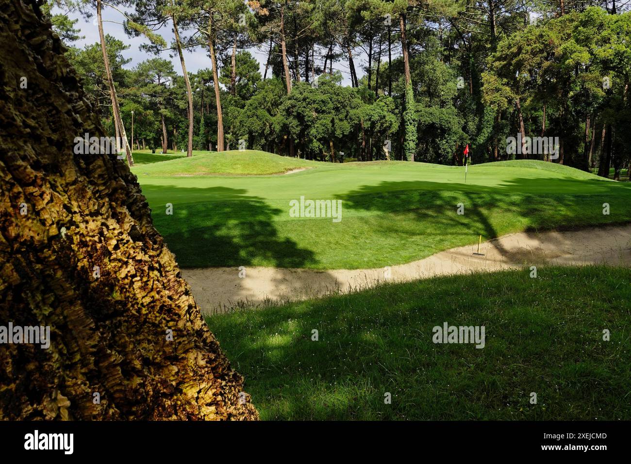 Seignosse Golf Club, Les Landes, Francia, 18 - 22 giugno 2024 vicino alle Ville estive della Francia presso le Villas la Clairire aux Chevreuils, un luogo di vacanza di classe, si trova il campo da golf Seignosse. Un layout davvero robusto progettato da nel 1989 - porta un sacco di palline se giochi! OPS qui: Il terzo verde Foto Stock