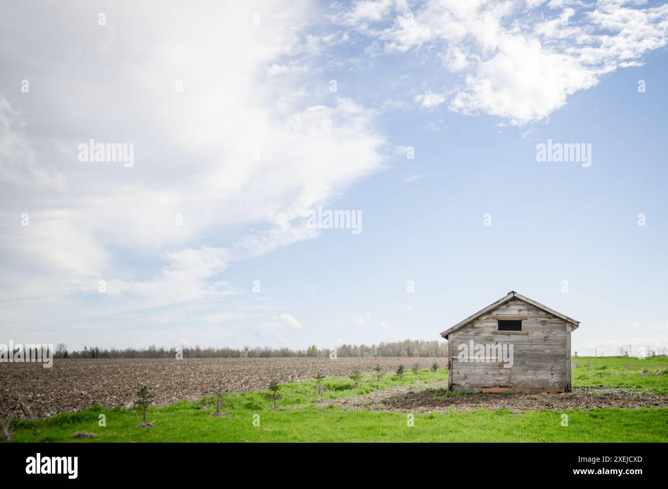 Piccolo capannone in un vasto campo sotto un cielo parzialmente nuvoloso Foto Stock