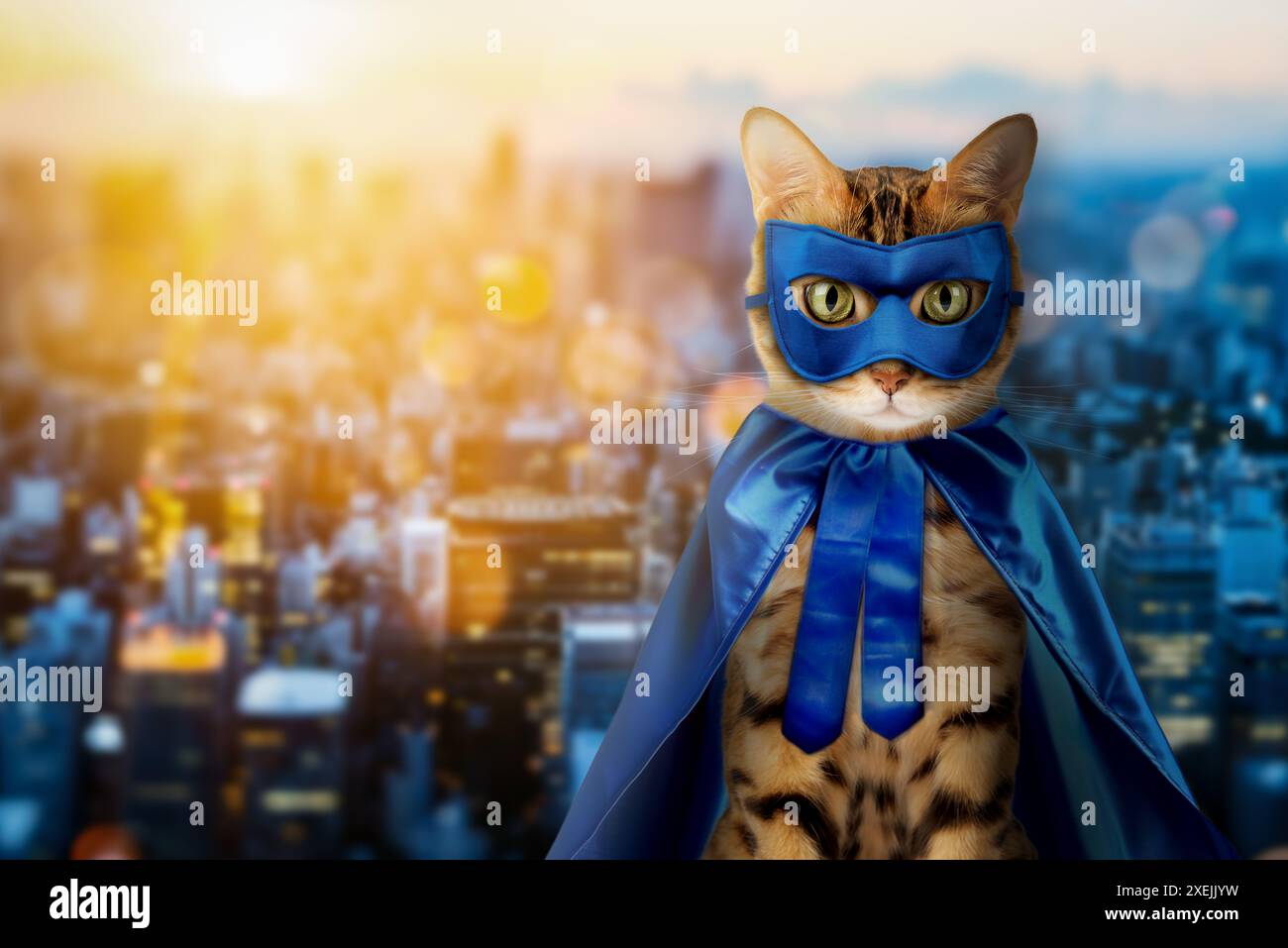 Un affascinante gatto rosso in costume da supereroe blu Foto Stock