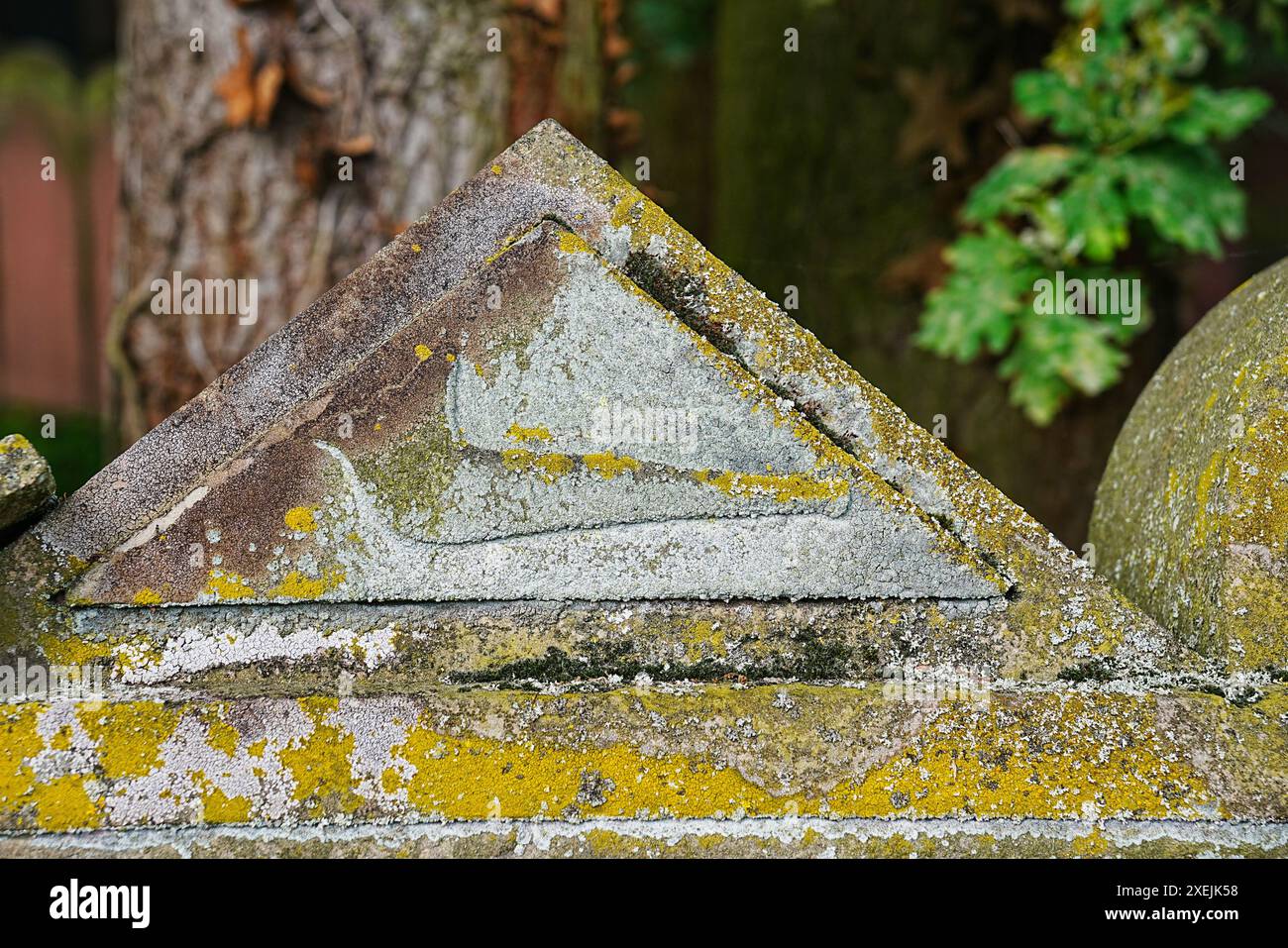 Simbolo della lapide in un cimitero ebraico Foto Stock