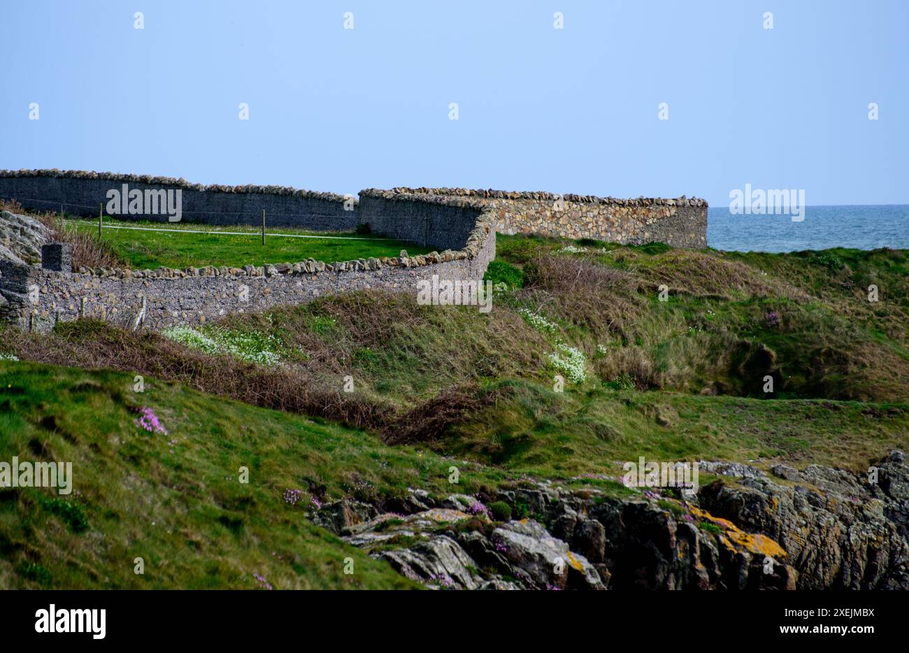 Splendido sentiero per passeggiate sulla costa della penisola di Howth, Dublino, Irlanda Foto Stock