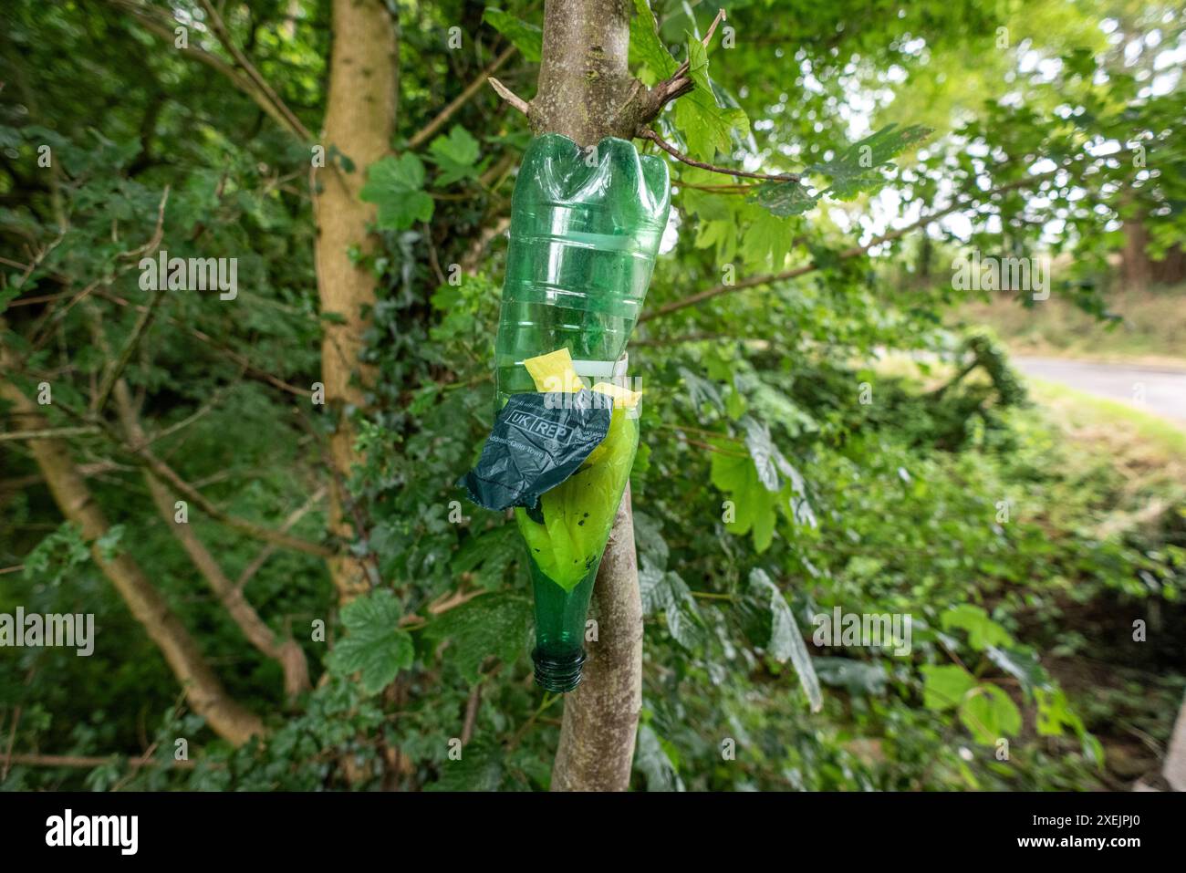 Huntingfield, 22 giugno 2024: Un dispenser di sacchetti per cani e cacca fatti in casa Foto Stock