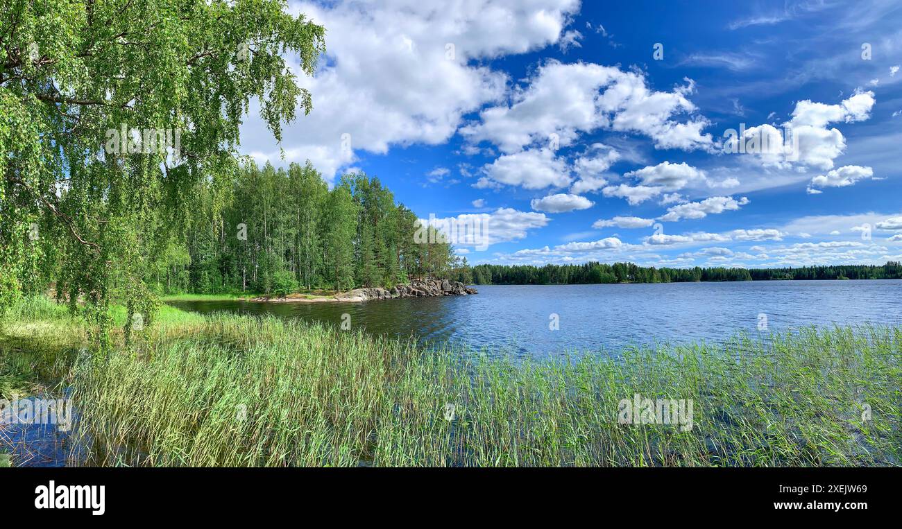Panorama estivo sul lago e sulla foresta con acqua blu e cielo e nuvole bianche in Finlandia Foto Stock