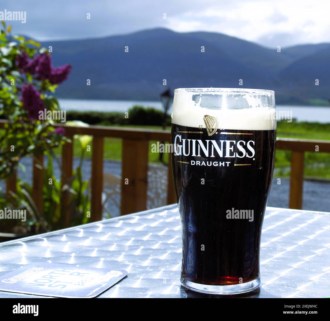 Una pinta rinfrescante di Guinness sulla riva di Tralee Bay nella contea di Kerry, Foto Stock