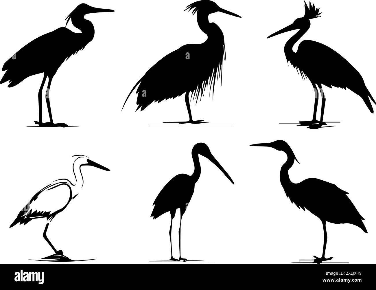 Le silhouette di Heron Bird sono vettoriali Illustrazione Vettoriale