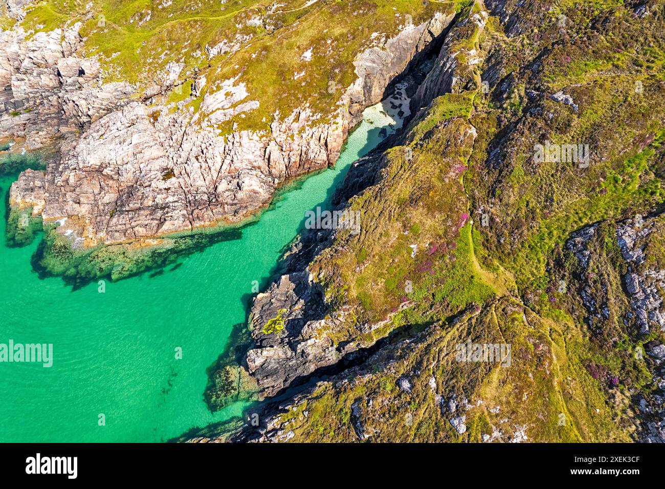 Achmelvich Sutherland Scozia il sole estivo su una remota insenatura, l'erica viola e il mare verde limpido Foto Stock