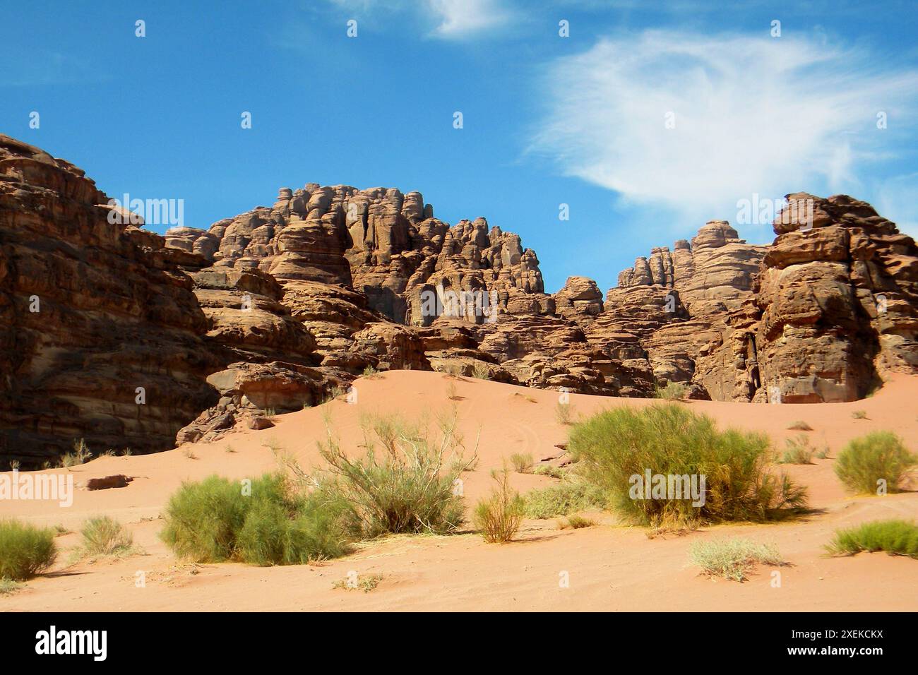 Deserto arabo. Arabia Saudita. Foto Stock