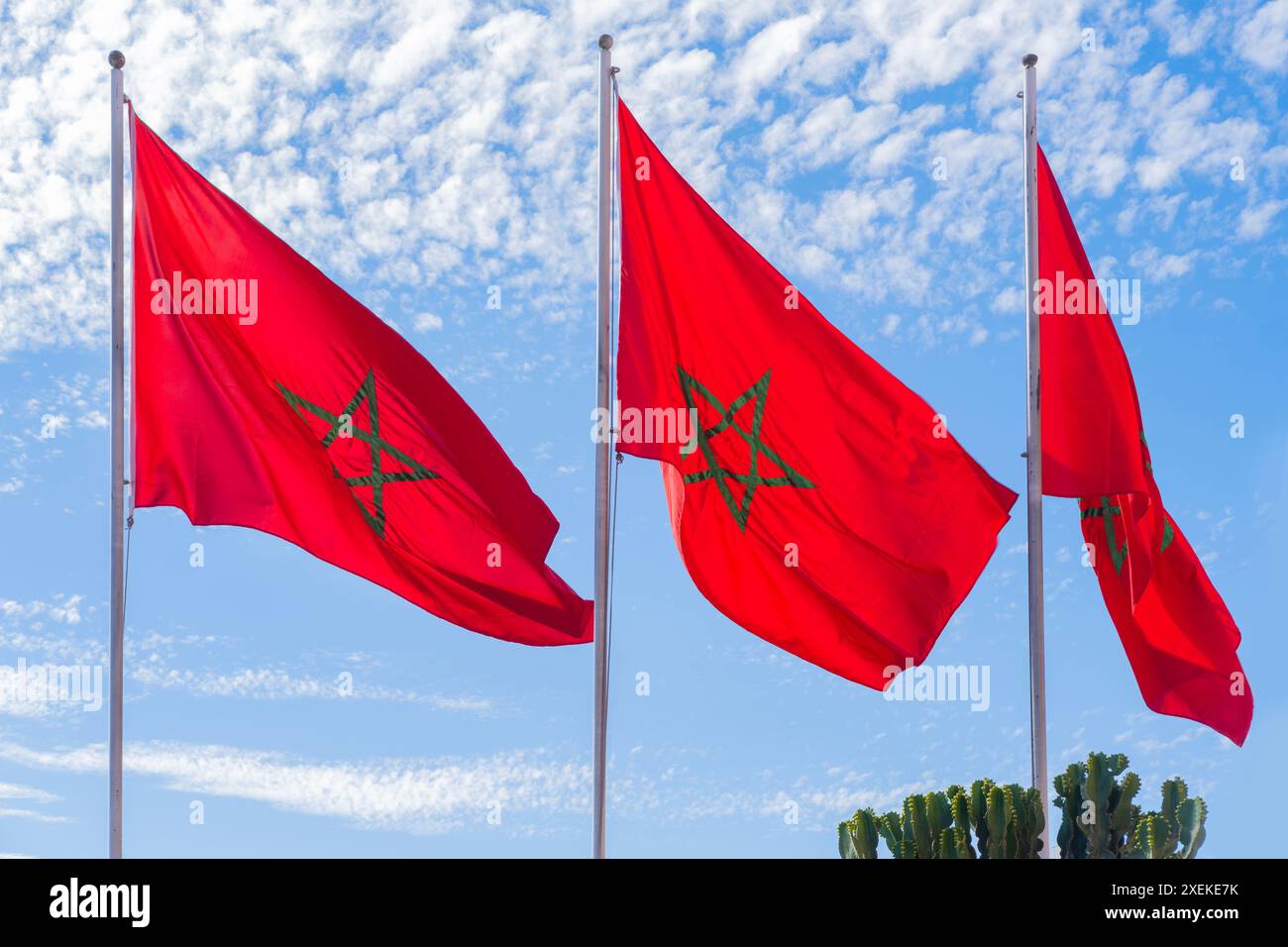 Bandiera marocchina rossa nazionale marocchina sventola un panno di seta contro il cielo, stella a cinque punte, edificio governativo, giornata dell'indipendenza, commercio globale, affari e cou Foto Stock