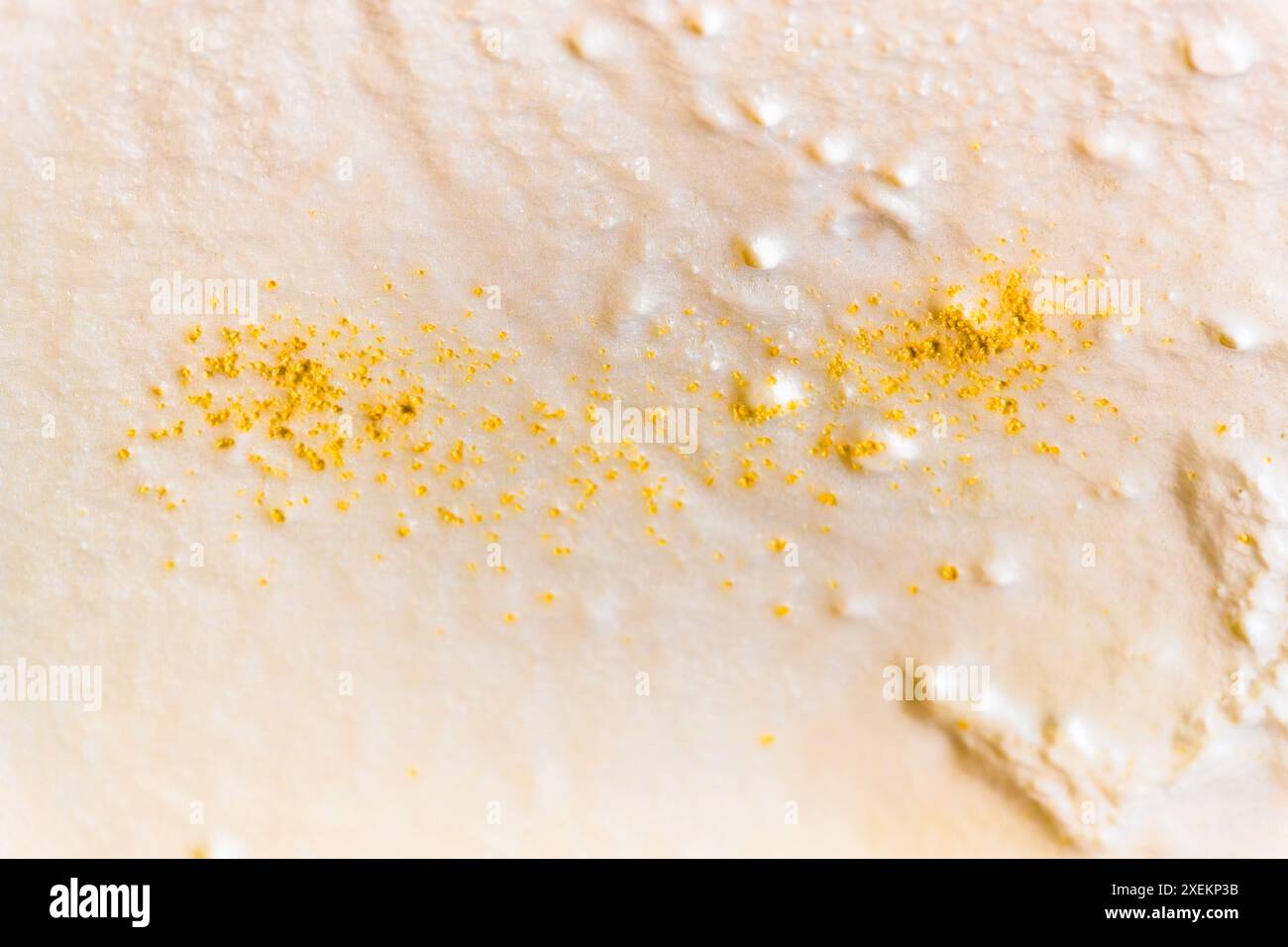 Al latte scremato viene aggiunta una coltura di batteri lattici. È così che viene creato il formaggio aspro tipico della Valle Grossarl. Le colture di acido lattico vengono aggiunte al latte scremato. Due giorni dopo, la massa di formaggio acido cagliato viene separata dal siero di latte. Promegg, Salisburgo, Austria Foto Stock