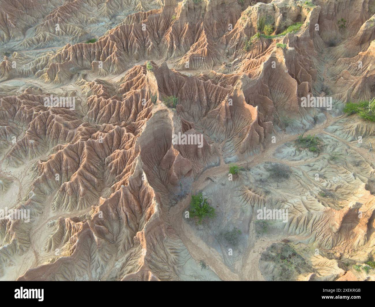 Questa prospettiva aerea cattura l'aspro terreno del deserto Tatacoa, mettendo in evidenza gli intricati schemi di erosione e i colori vivaci Foto Stock