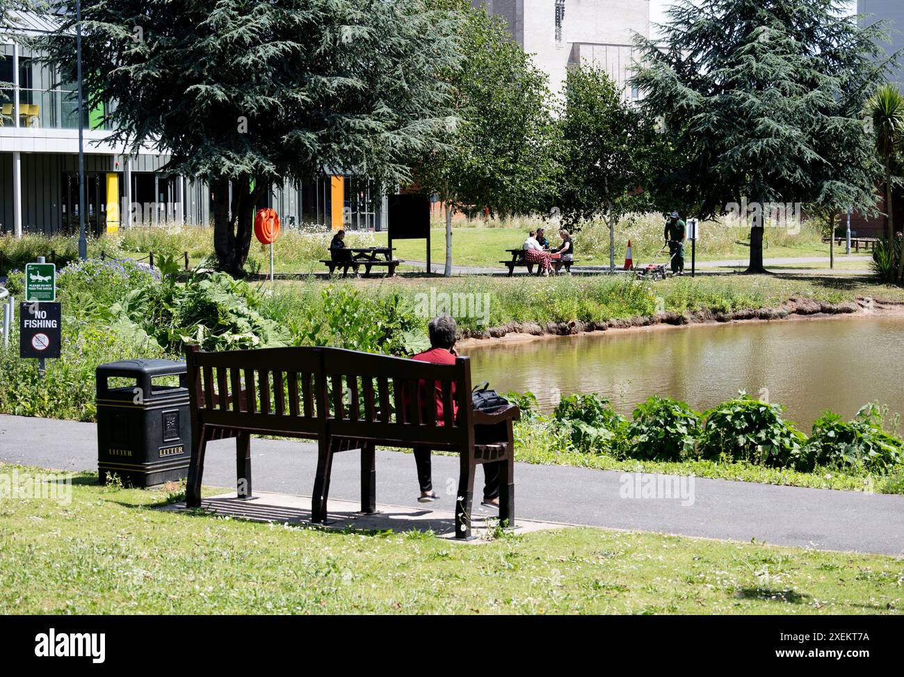 Aston University, vista generale sul lago, Birmingham, West Midlands, Inghilterra, REGNO UNITO Foto Stock