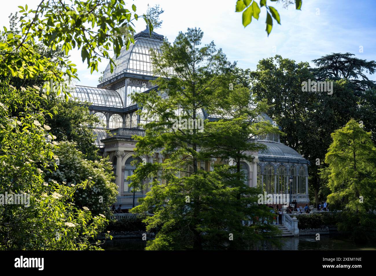 La calda luce del sole illumina i vetri del Palazzo di cristallo del Parco del Buen Retiro di Madrid; Madrid, Spagna Foto Stock