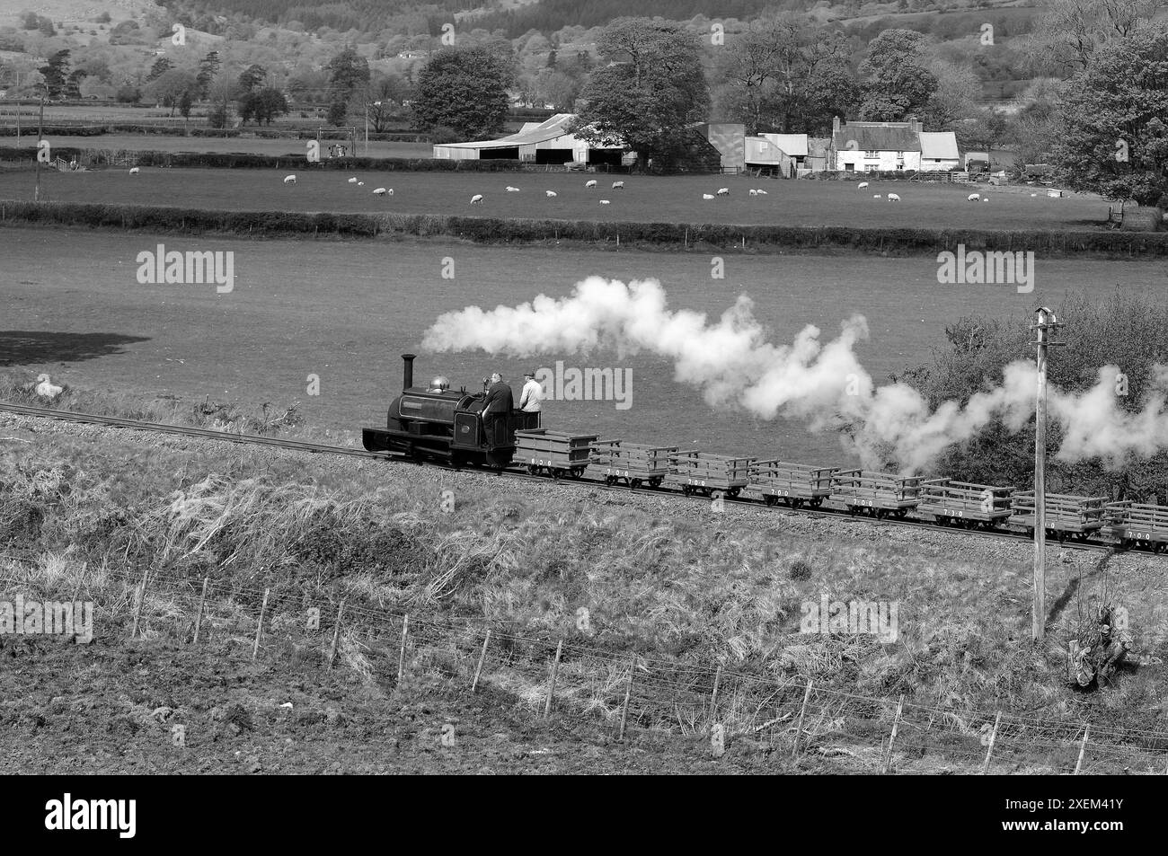 'Winifred' vicino a Dolfawr con un treno di carri d'ardesia. Foto Stock
