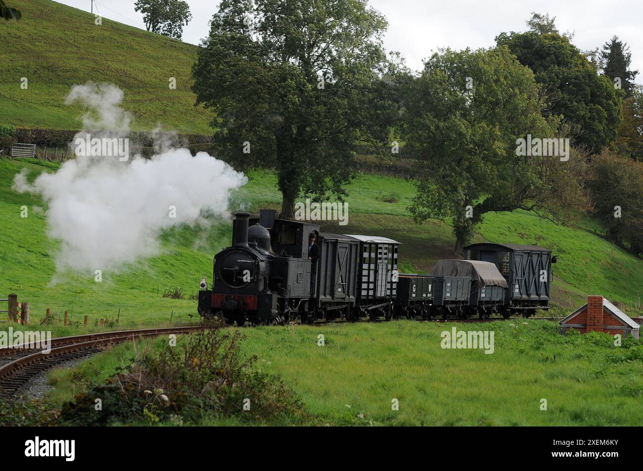 "Il conte" a Heniarth. Foto Stock