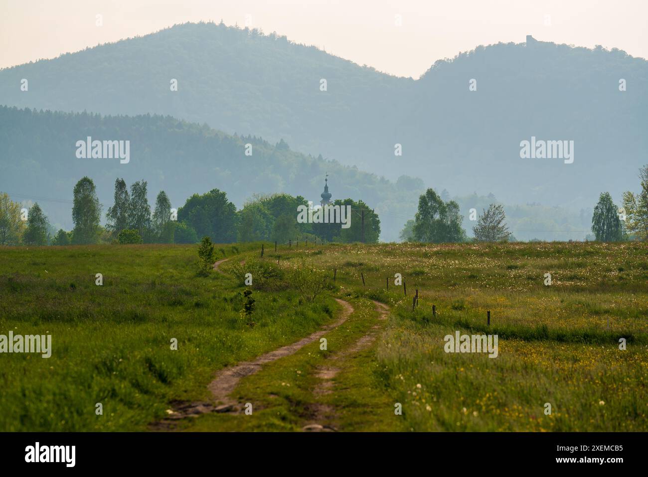 Splendido paesaggio naturale. Strada del villaggio, erba verde nel prato, cielo azzurro. Alte montagne all'orizzonte. Polonia. Karkonosze. Montagna a KR Foto Stock