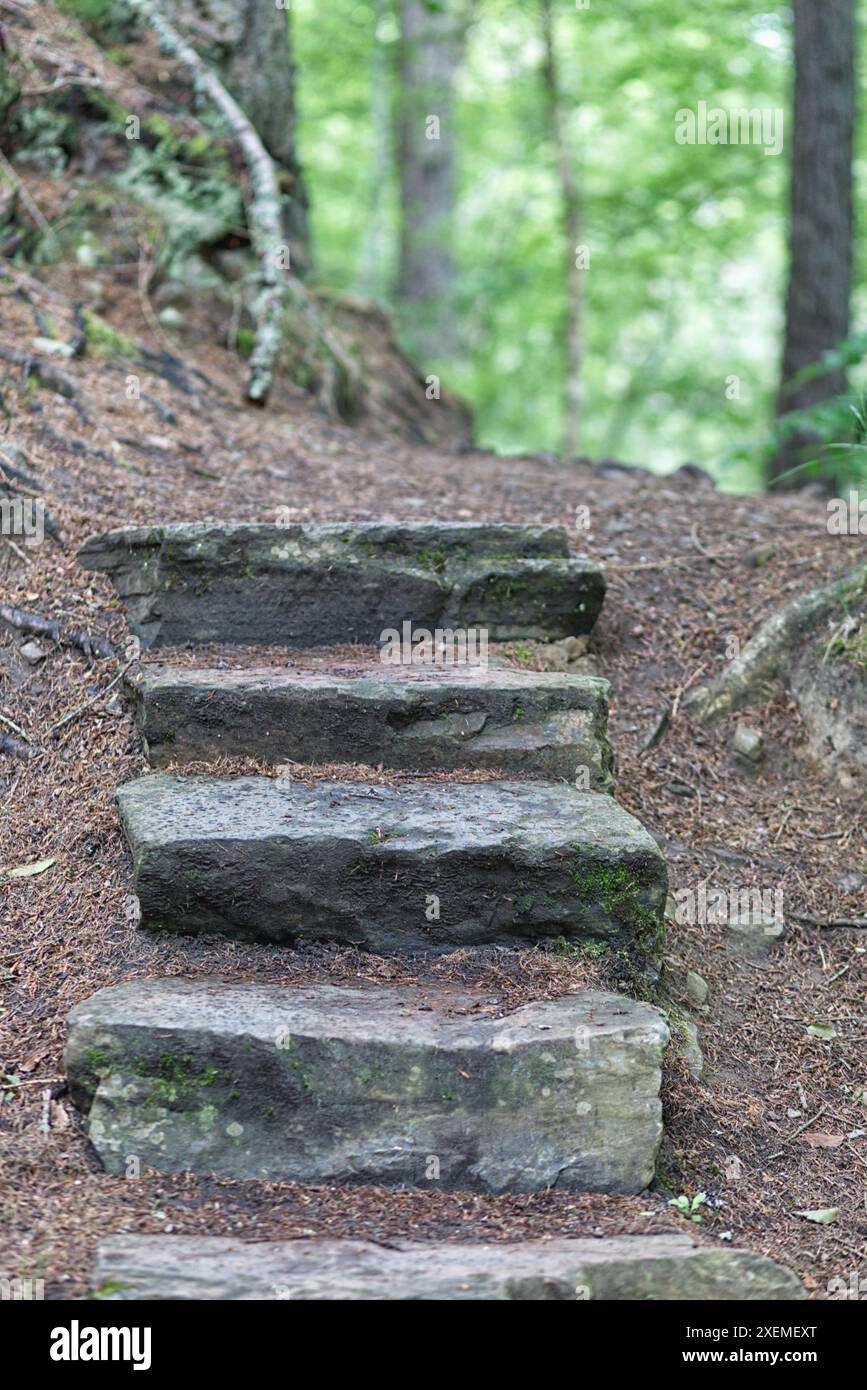 la pietra entra in una passeggiata nel bosco Foto Stock