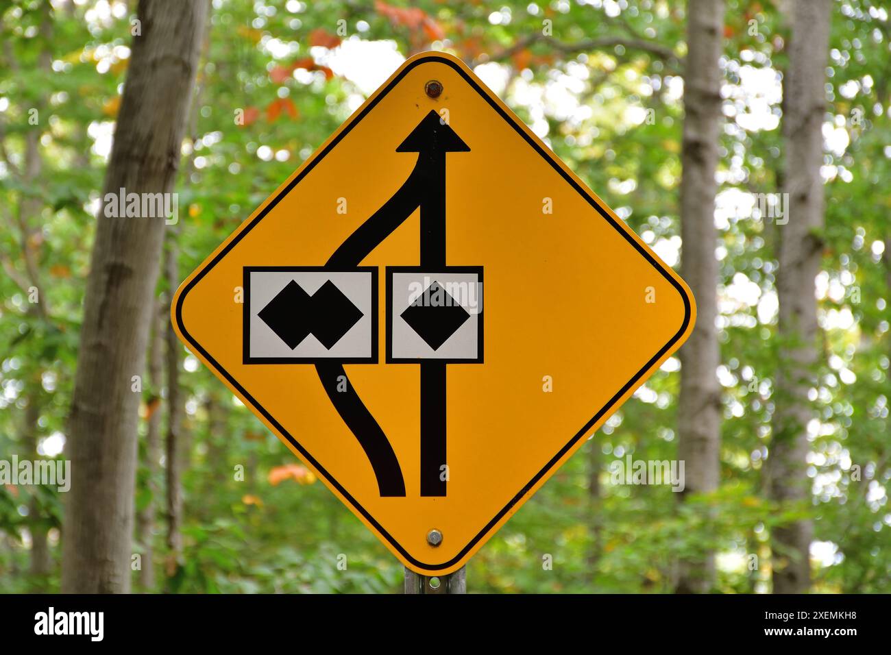 Segnale di sicurezza giallo di attenzione. Scegli la tua strada tra esperto ed estremo. Diamante nero contro doppio diamante nero. Cartello di classificazione per le piste per mountain bike. Co Foto Stock