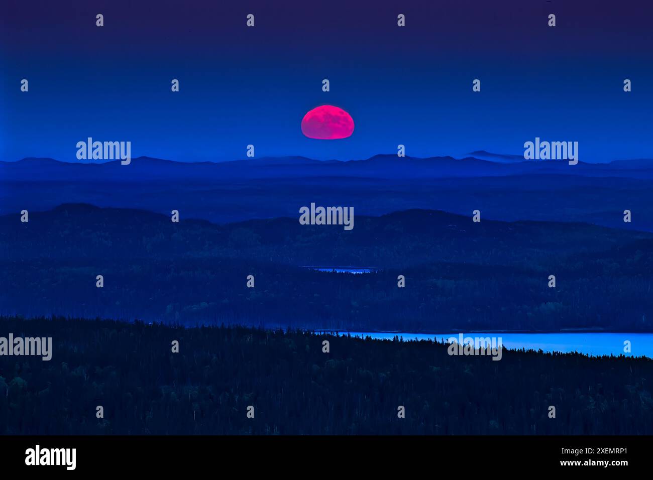 Spettacolare alba in rosa e blu, Terra Nova National Park, Terranova, Canada; Terranova e Labrador, Canada Foto Stock