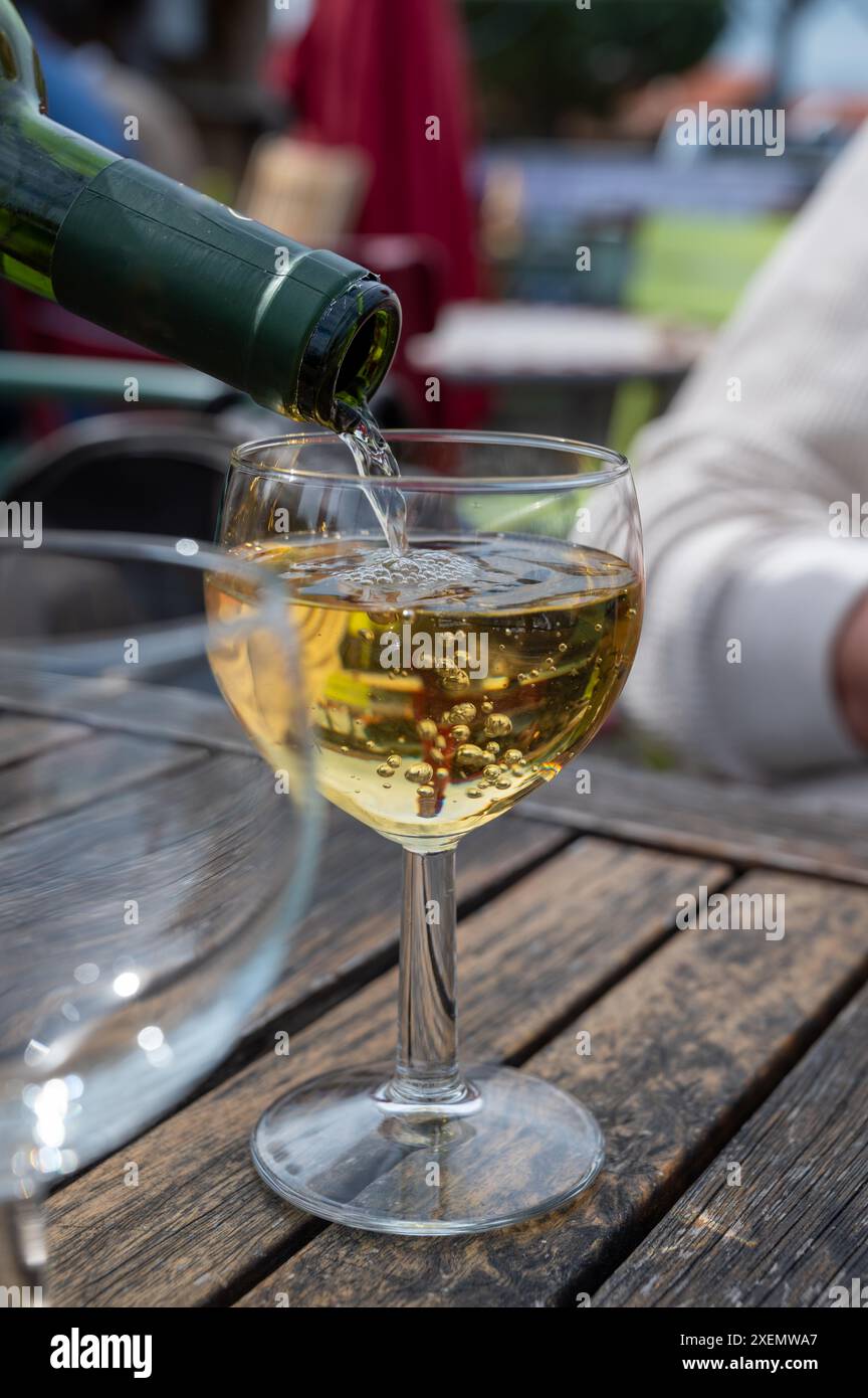 Degustazione di vino bianco Bordeaux, sponda destra dell'estuario della Gironda, Francia. Bicchieri di vino bianco francese dolce serviti nel ristorante all'aperto, ostriche farm Foto Stock