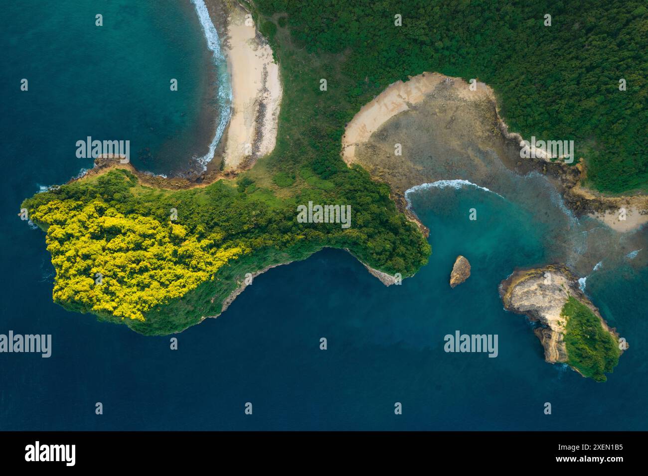 Vista aerea della vegetazione lussureggiante e della costa della laguna di Sari Goang Beach in Indonesia Foto Stock