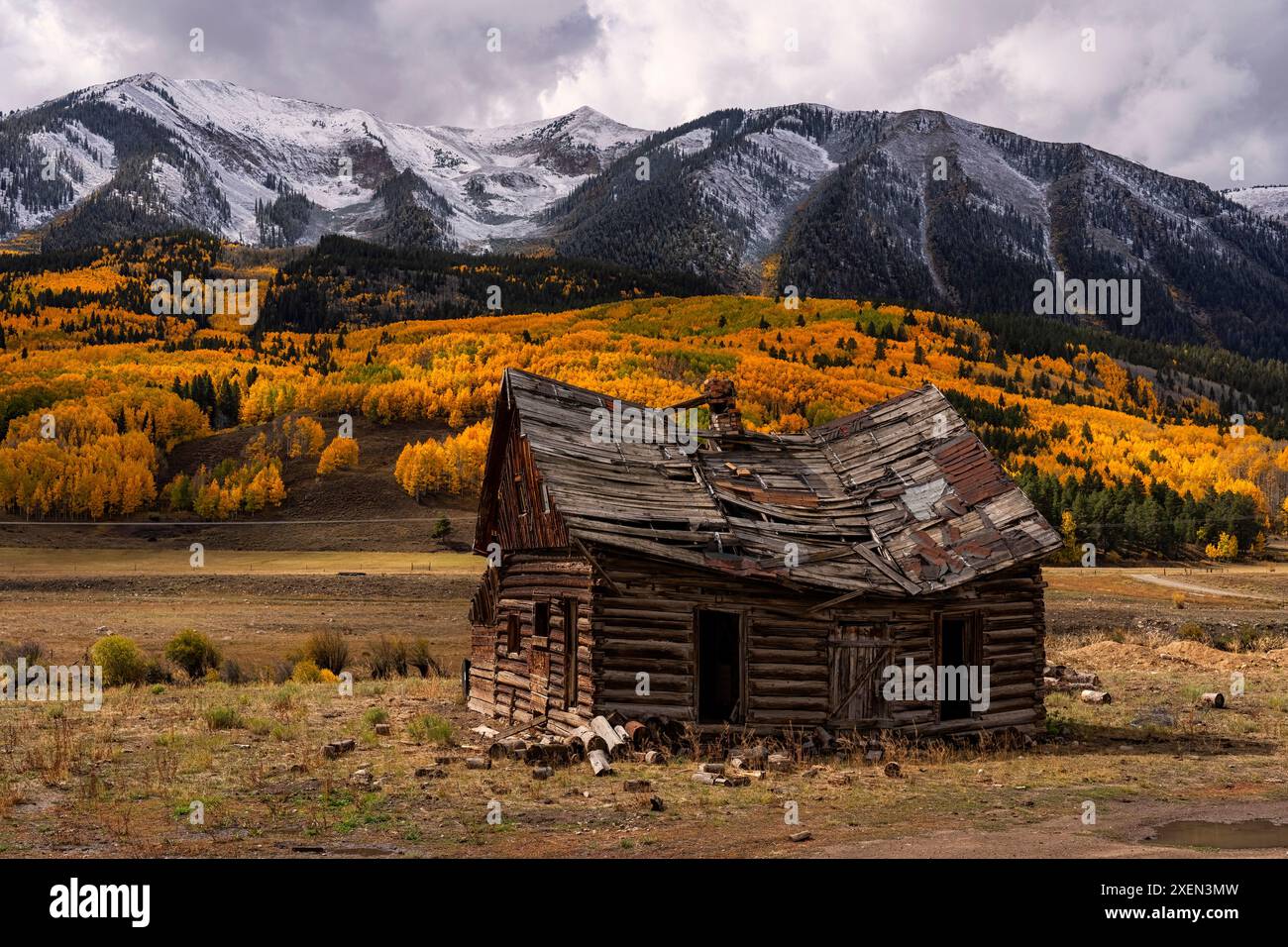 Gli alberi di pioppo trasformano il colore di una tavolozza di artisti durante l'autunno in Colorado. Il colore si estende fino all'occhio in una delle nature più belle... Foto Stock