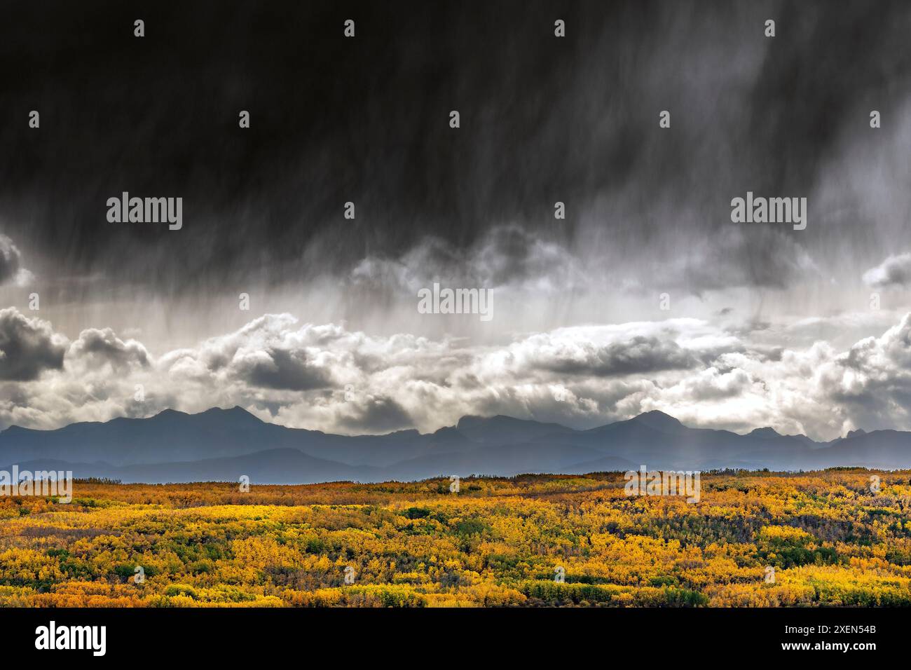 Nuvole di tempesta scure e striature di pioggia sopra una collina colorata e la catena montuosa delle Montagne Rocciose in autunno, a sud di Calgary, Alberta; Alberta, Canada Foto Stock