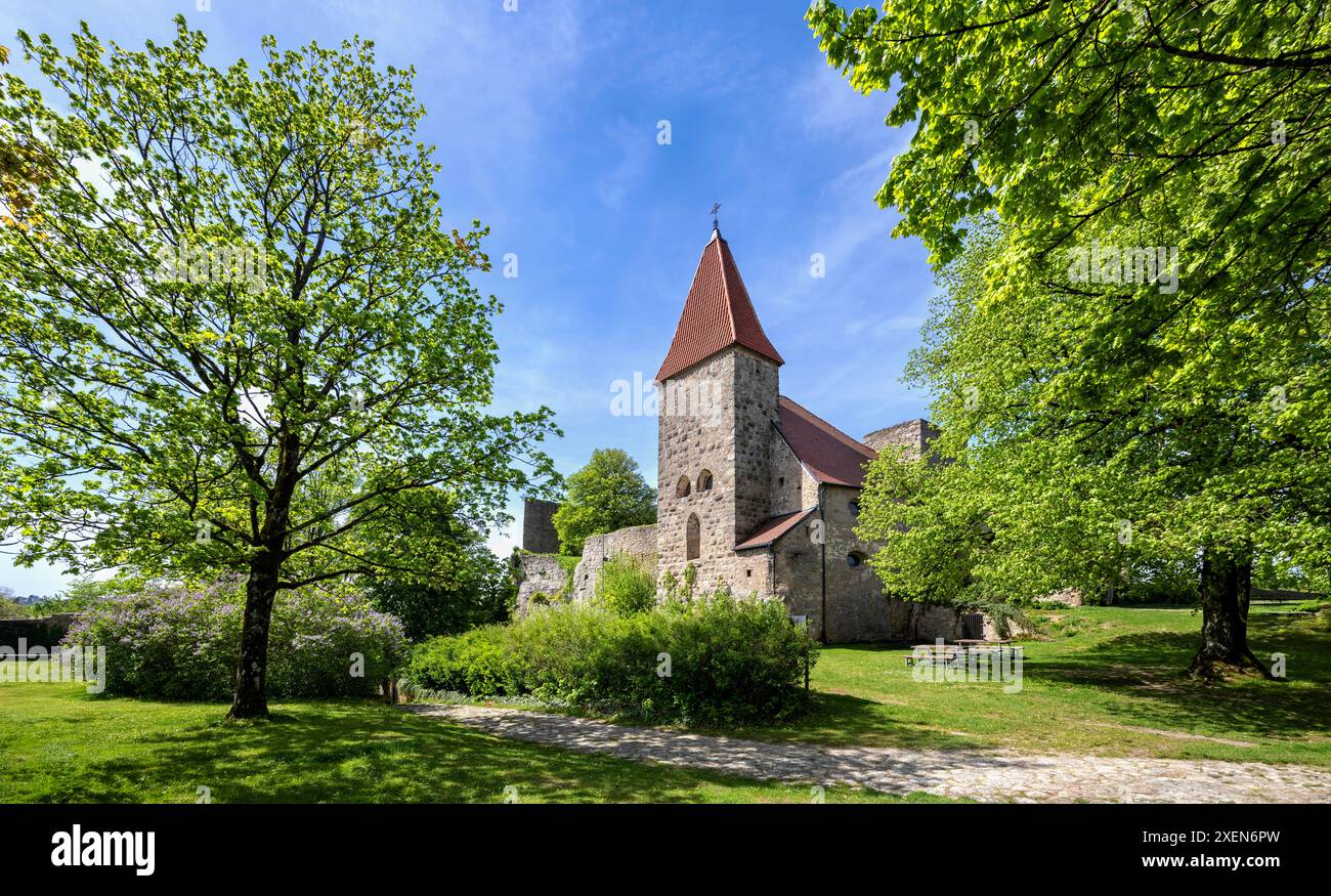 Castello in rovina a Leuchtenberg, Baviera Foto Stock