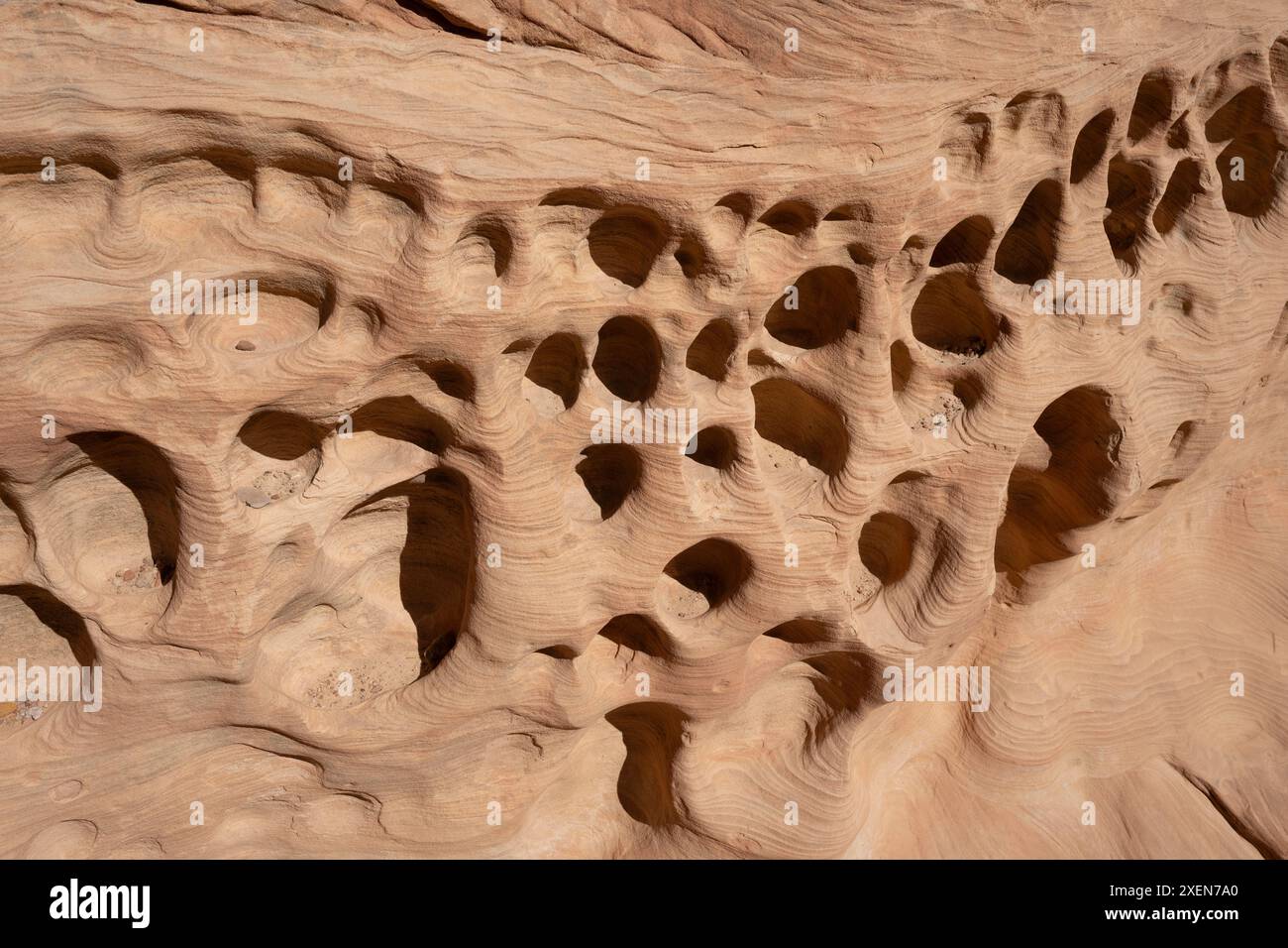 Primo piano di buche erosive sulla scogliera; Little Wild Horse Canyon, Hanksville, Utah, Stati Uniti d'America Foto Stock