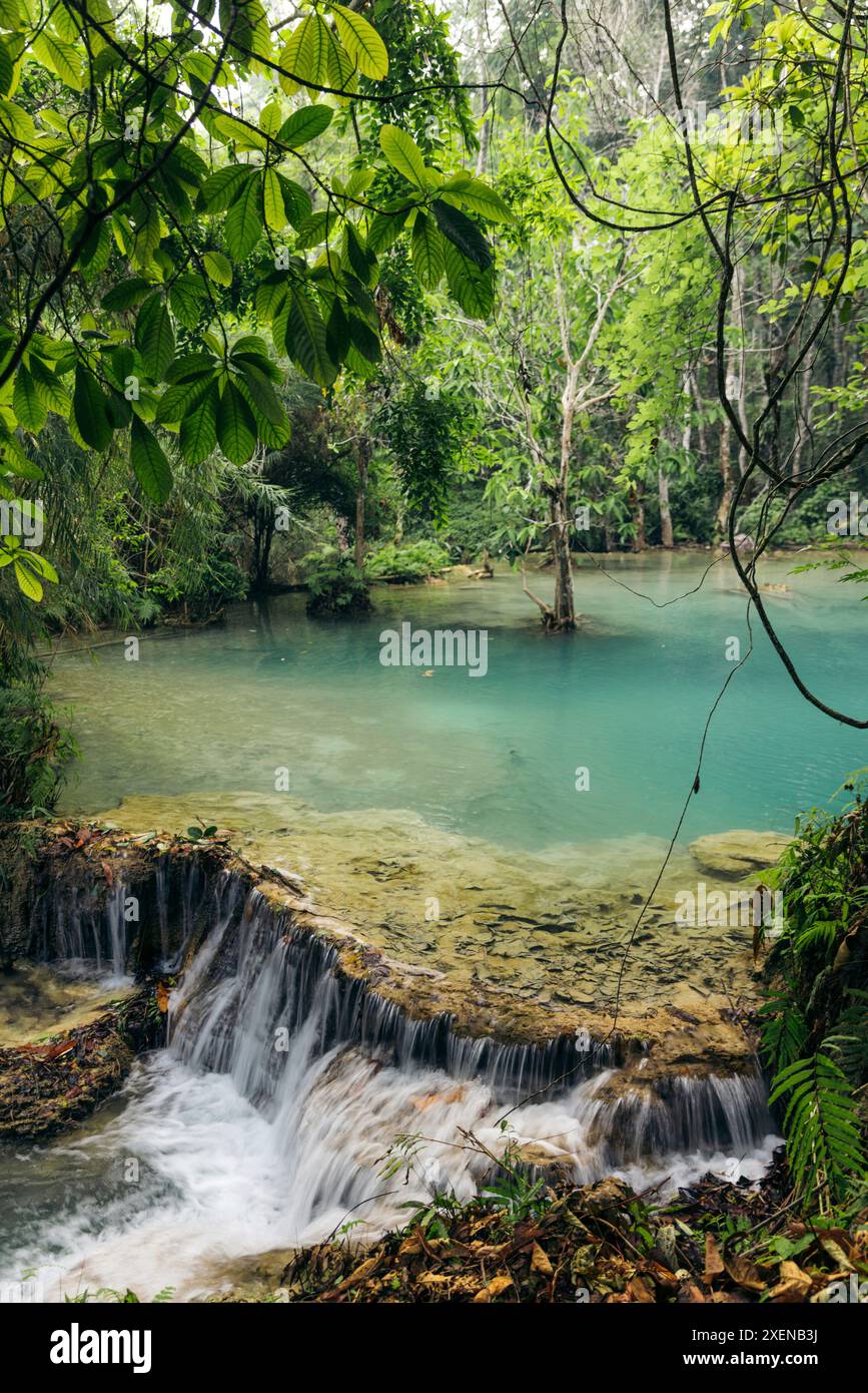 Paradiso tropicale con cascate e vegetazione lussureggiante alla cascata di Kuang si in Laos; provincia di Luang Prabang, Laos Foto Stock