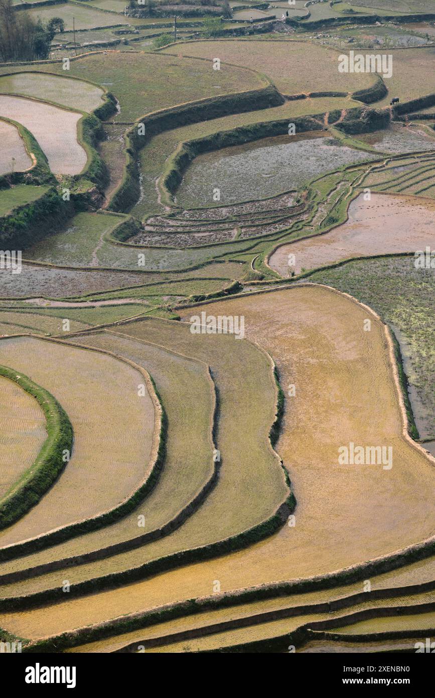 Terrazze di riso lungo il passo Khan Pha in Vietnam; passo Khan Pha, Cao Pha, distretto Mu Cang Chai, Yen Bai, Vietnam Foto Stock