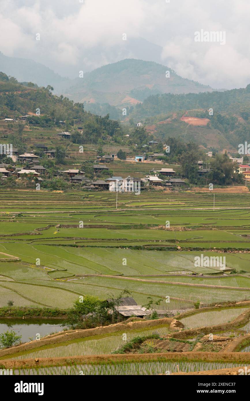 Coltivazione del riso e villaggio nella campagna del Vietnam; tram Tau, tram Tau District, Yen Bai, Vietnam Foto Stock